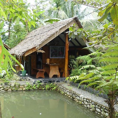 Magpie resto dan homestay Bukit Lawang Esterno foto
