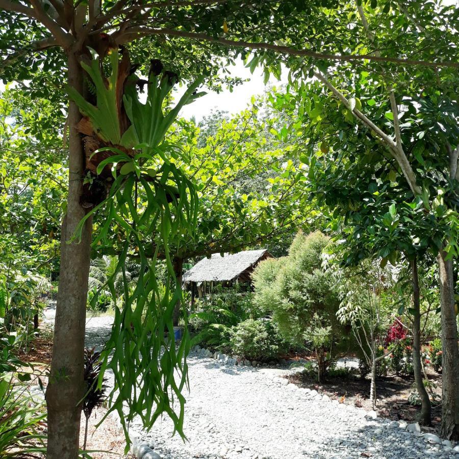 Magpie resto dan homestay Bukit Lawang Esterno foto