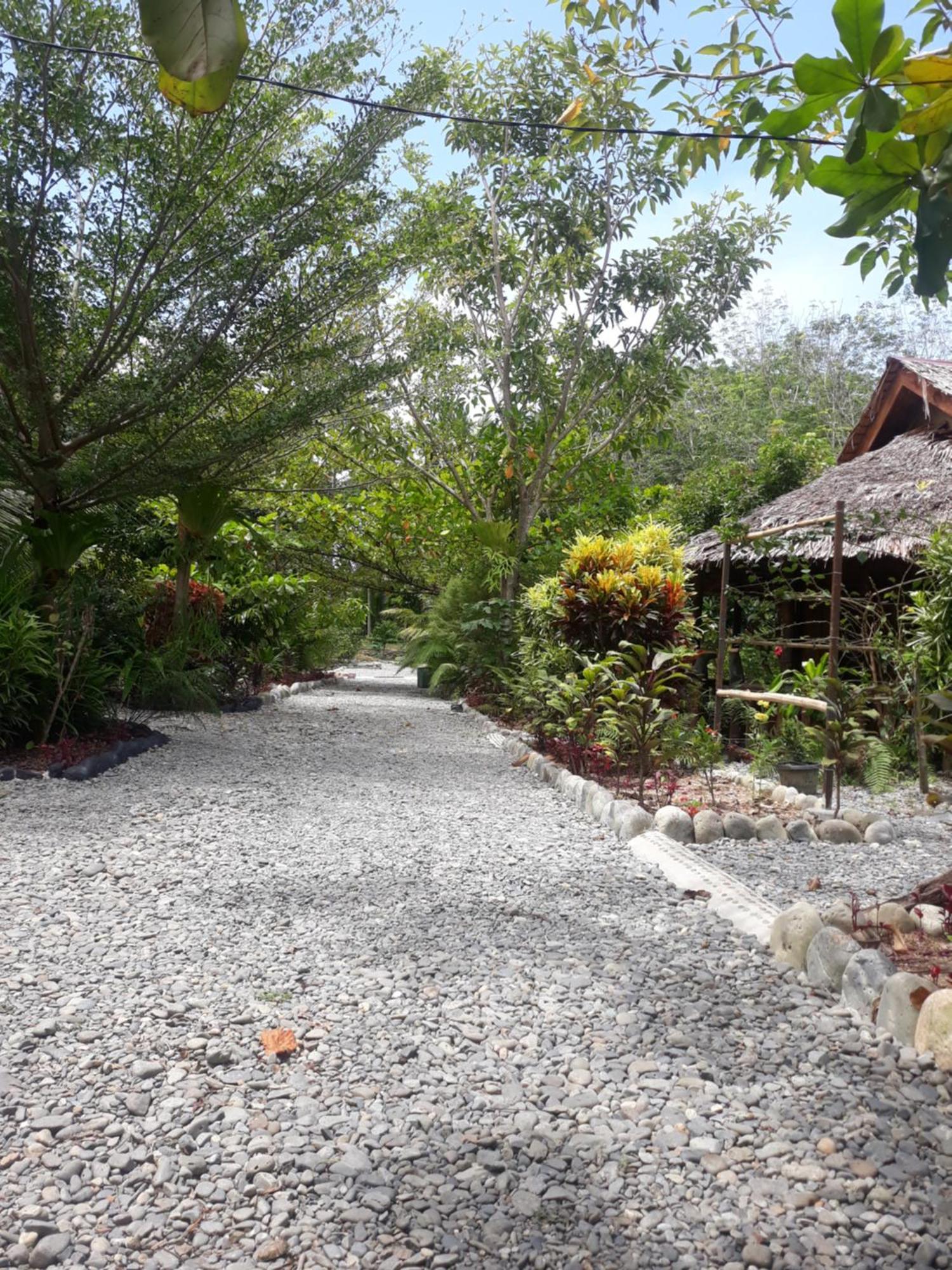 Magpie resto dan homestay Bukit Lawang Esterno foto