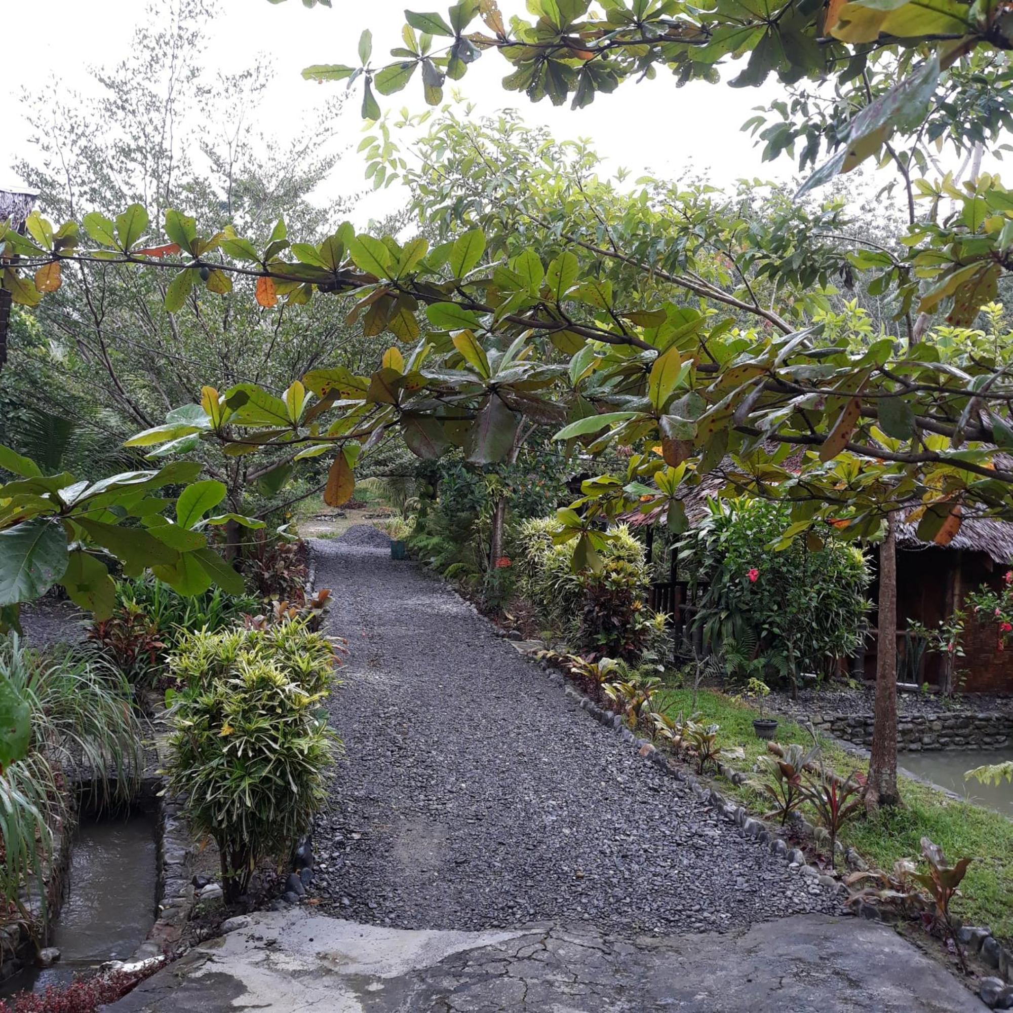 Magpie resto dan homestay Bukit Lawang Camera foto