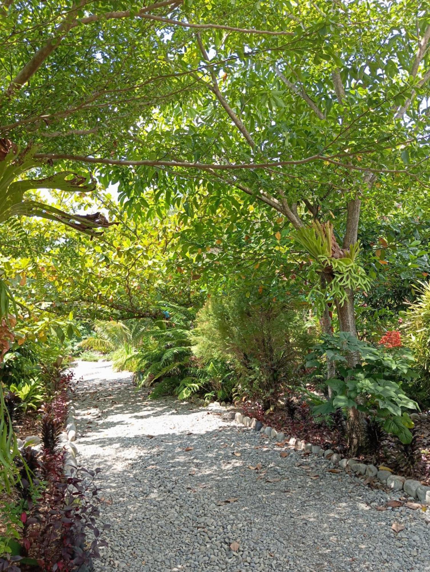 Magpie resto dan homestay Bukit Lawang Esterno foto