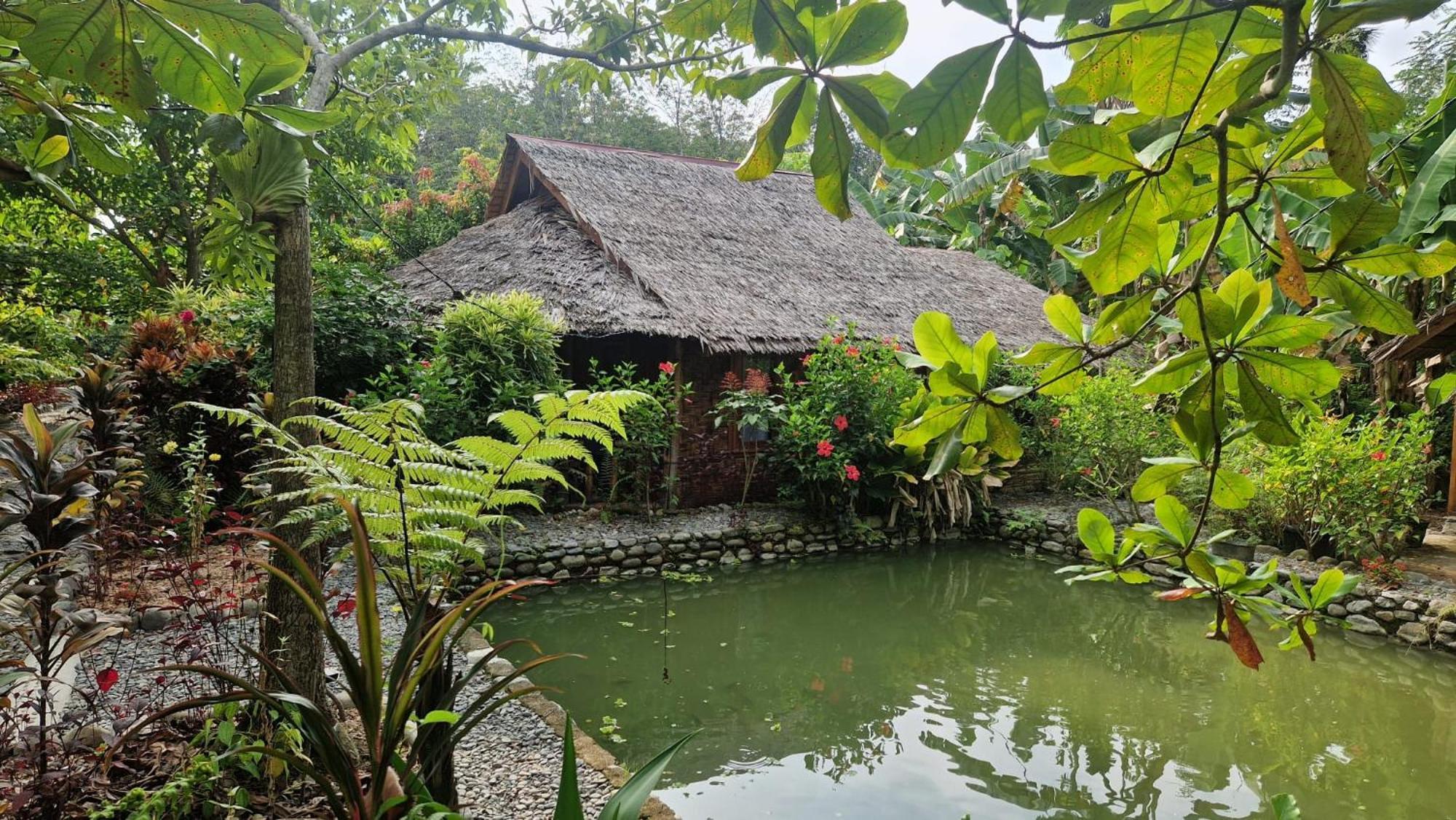 Magpie resto dan homestay Bukit Lawang Esterno foto