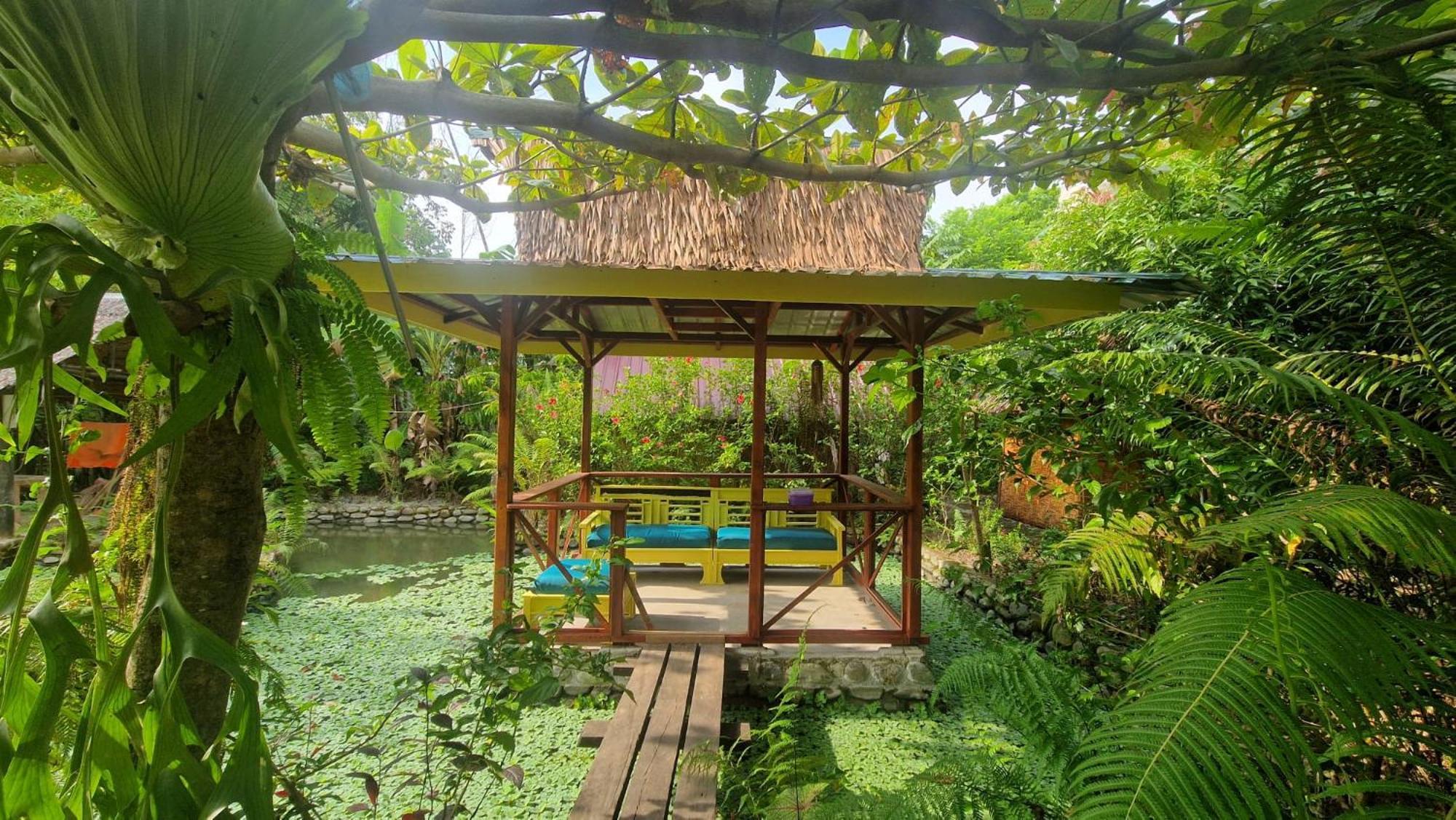 Magpie resto dan homestay Bukit Lawang Esterno foto