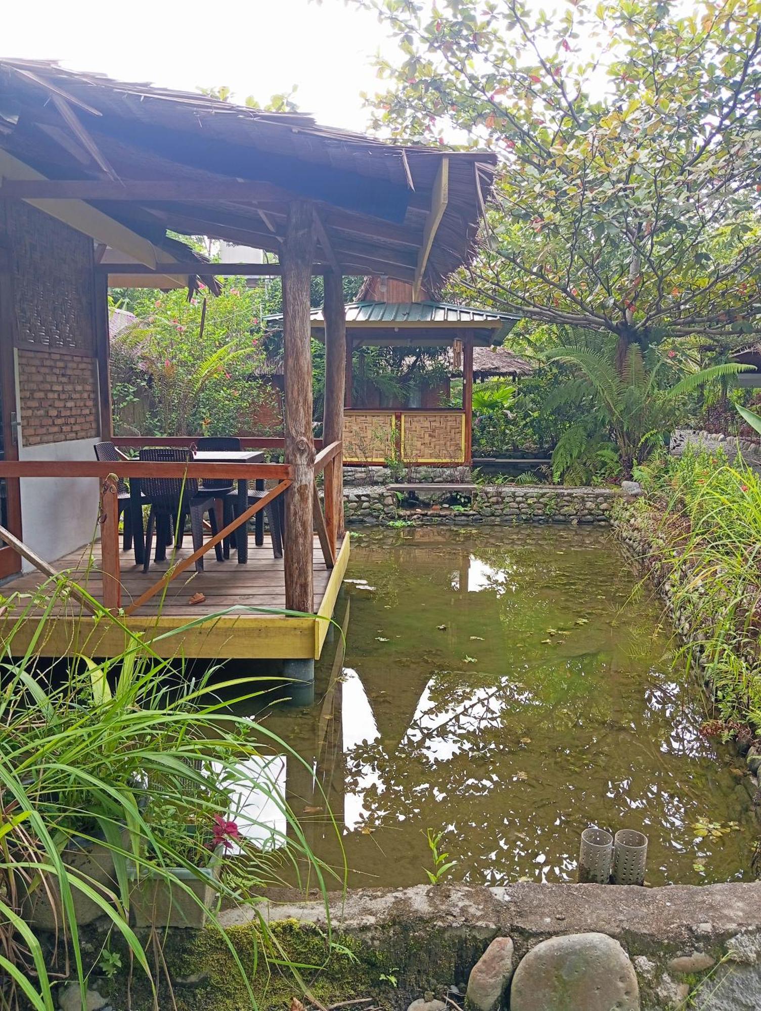 Magpie resto dan homestay Bukit Lawang Camera foto