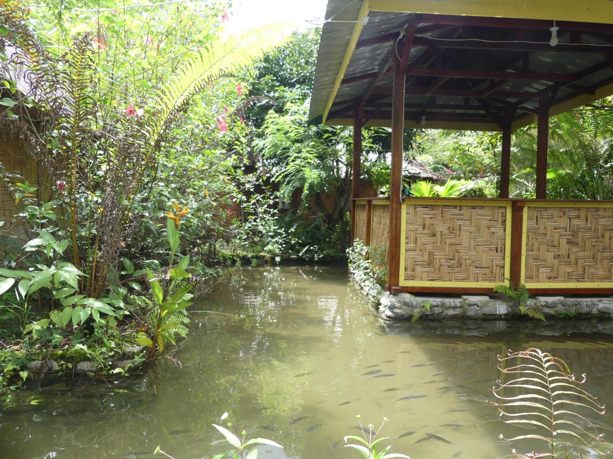 Magpie resto dan homestay Bukit Lawang Camera foto