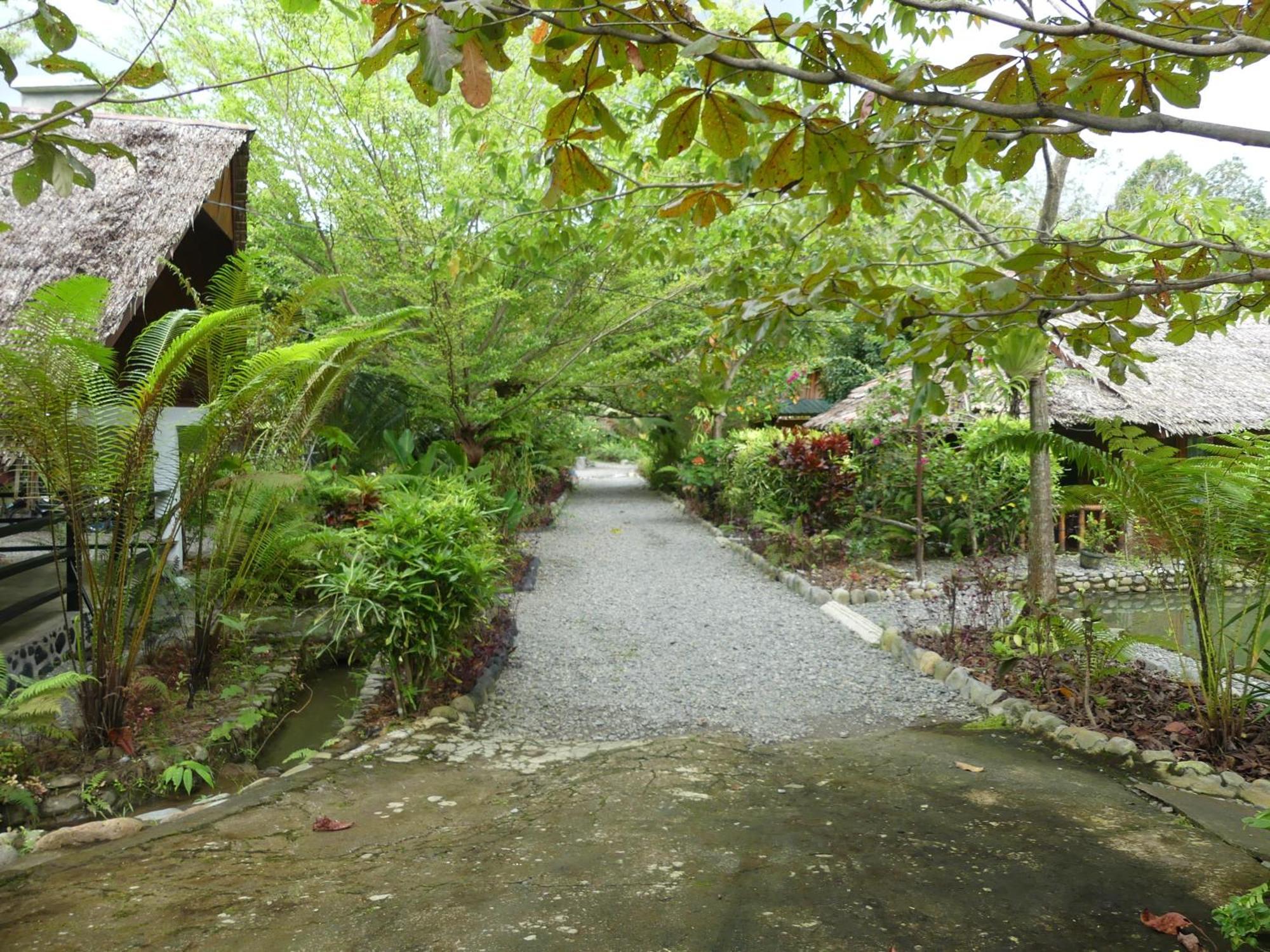 Magpie resto dan homestay Bukit Lawang Esterno foto