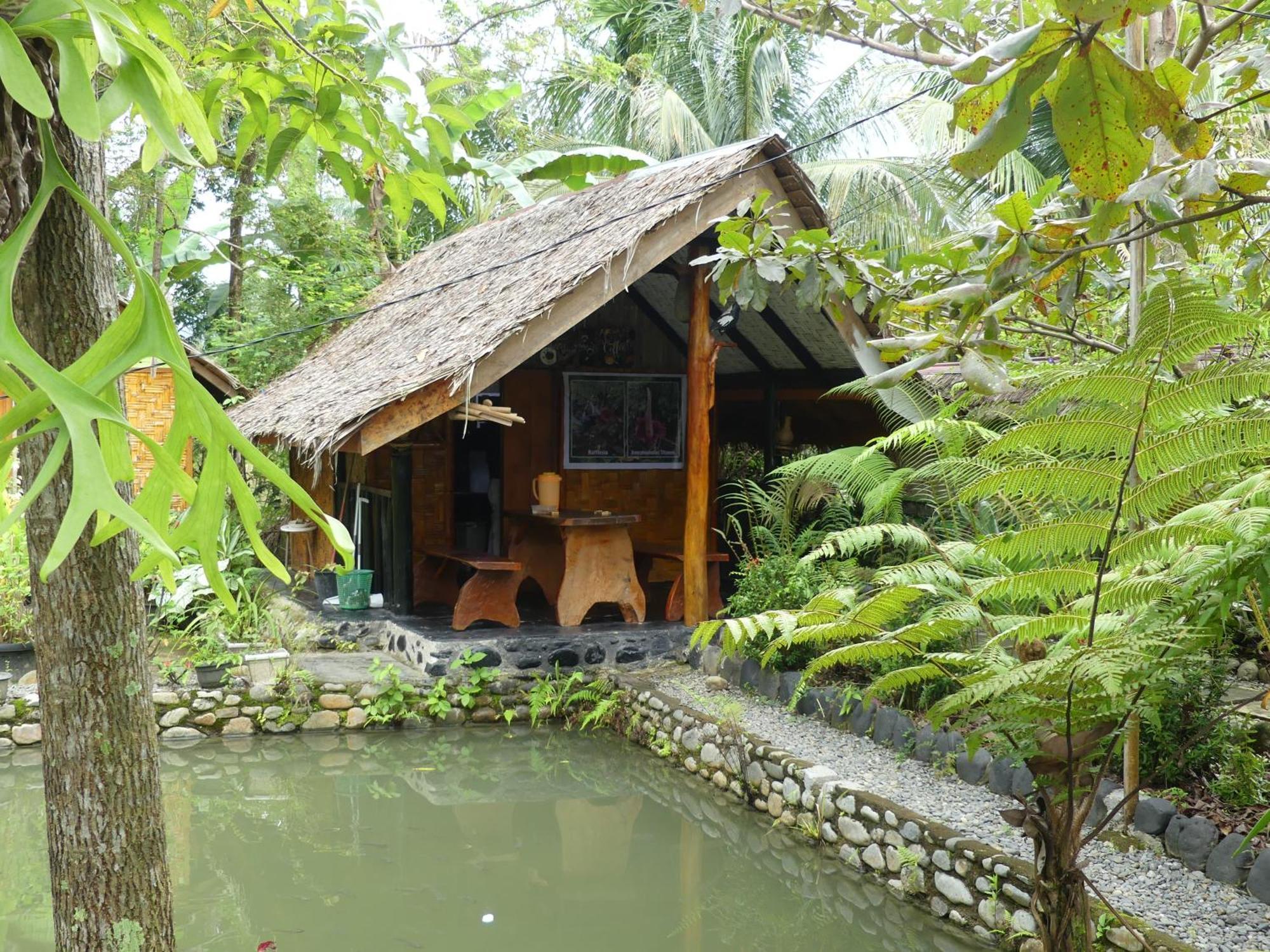 Magpie resto dan homestay Bukit Lawang Esterno foto
